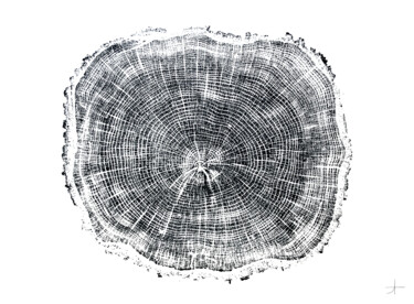 Estampas & grabados titulada "Chêne. 60 ans" por Adrien Thivolle (l'âge des arbres), Obra de arte original, Tinta