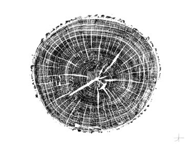 Отпечатки и Гравюры под названием "Chêne. 88 ans" - Adrien Thivolle (l'âge des arbres), Подлинное произведение искусства, Че…