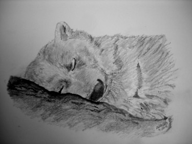 Drawing titled "Sleeping Bear" by Adrish Sen, Original Artwork, Other