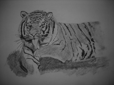 Drawing titled "Royal Bengal Tiger" by Adrish Sen, Original Artwork