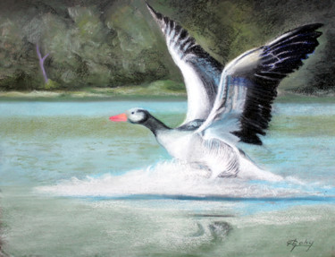 Peinture intitulée "Une oie sur l'eau!" par Adyne Gohy, Œuvre d'art originale, Pastel