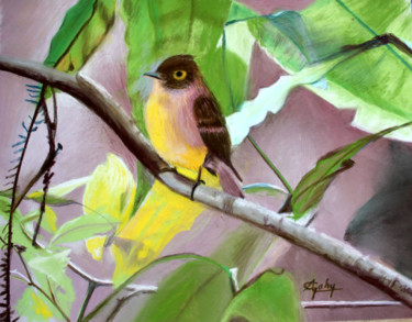 Painting titled "Un tufled flycatcher" by Adyne Gohy, Original Artwork, Pastel