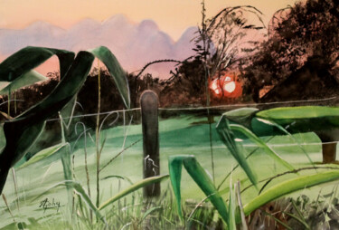 Peinture intitulée "Coucher de soleil d…" par Adyne Gohy, Œuvre d'art originale, Aquarelle