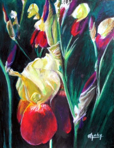 Pittura intitolato "Des iris" da Adyne Gohy, Opera d'arte originale, Pastello