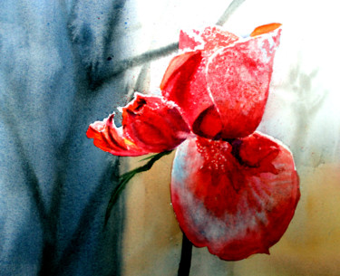 Malerei mit dem Titel "Une rose givrée" von Adyne Gohy, Original-Kunstwerk, Aquarell