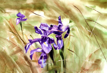 Schilderij getiteld "Iris des Pyrénées" door Adyne Gohy, Origineel Kunstwerk, Aquarel