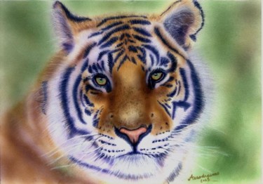 Painting titled "tigre" by Aerodreamscompany, Original Artwork