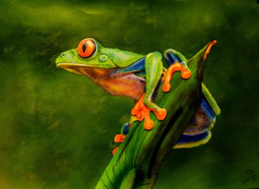 Peinture intitulée "grenouille" par Aerodreamscompany, Œuvre d'art originale