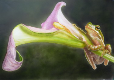 Peinture intitulée "grenouille-fleur-we…" par Aerodreamscompany, Œuvre d'art originale