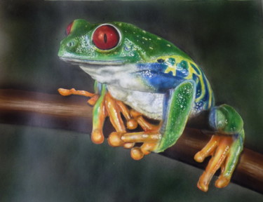Peinture intitulée "une autre grenouille" par Aerodreamscompany, Œuvre d'art originale