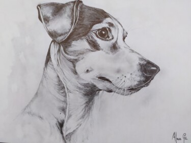 Drawing titled "JACK RUSSELL TERRIER" by África Gil, Original Artwork, Pencil