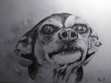 Painting titled "CHIHUAHUA" by África Gil, Original Artwork, Pencil