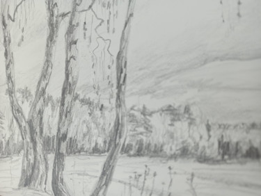 Drawing titled "Forest in pencil" by Agatha Ya Sokolova, Original Artwork, Pencil