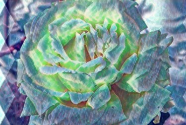 Arts numériques intitulée "rose lumiére bleu" par Agl, Œuvre d'art originale