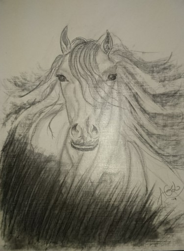 Drawing titled "Cheval" by Agl, Original Artwork, Charcoal Mounted on Glass