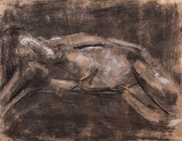 Drawing titled "reclining nude" by Terri, Original Artwork, Other