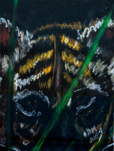 Drawing titled "tiger" by Terri, Original Artwork, Other