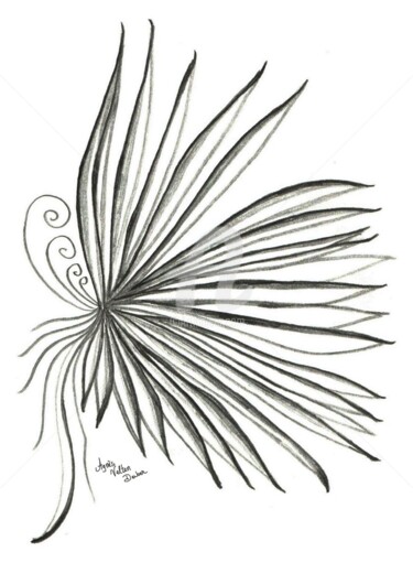 Dessin intitulée "Palmia" par Agnès Velten Deiber, Œuvre d'art originale, Crayon