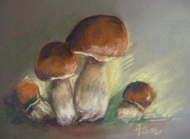 Dessin intitulée "cèpes de printemps" par Agnes Corre, Œuvre d'art originale, Pastel