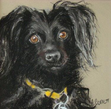 Painting titled "BELLA" by Agnes Corre, Original Artwork, Pastel Mounted on Cardboard