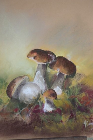 Dessin intitulée "cèpes dans la forêt" par Agnes Corre, Œuvre d'art originale, Pastel