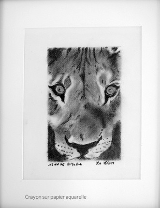 Dibujo titulada "Le lion" por Agnès M, Obra de arte original, Oleo