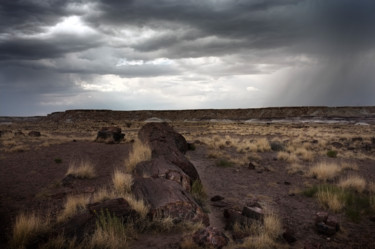 Photography titled "Petrified Forest Na…" by Agnès M, Original Artwork