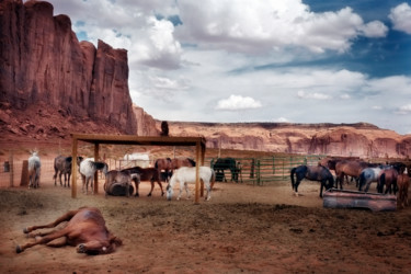 Fotografia intitolato "CHEVAUX" da Agnès M, Opera d'arte originale