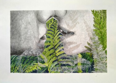 Drawing titled "Dans les fougères.…" by Agnieszka Zuchowska, Original Artwork, Pencil