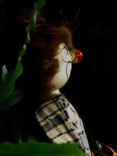 Photography titled "Le clown" by Sophie Agogué, Original Artwork, Other