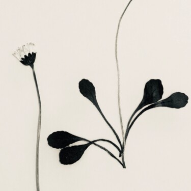 Fotografía titulada "Herbe 8" por Sophie Agogué, Obra de arte original, Fotografía digital