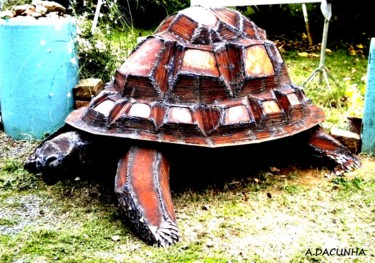 Photographie intitulée "Tortue géante" par Agostinho Dacunha, Œuvre d'art originale, Métaux