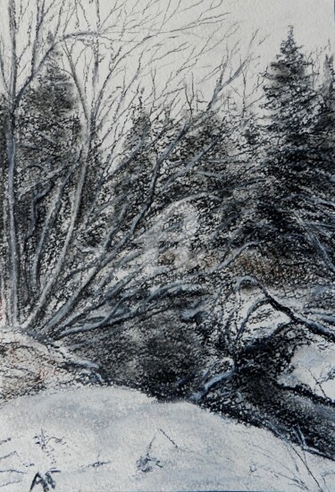 Schilderij getiteld "Рисунок зимы" door Andrei Gudkov, Origineel Kunstwerk, Anders