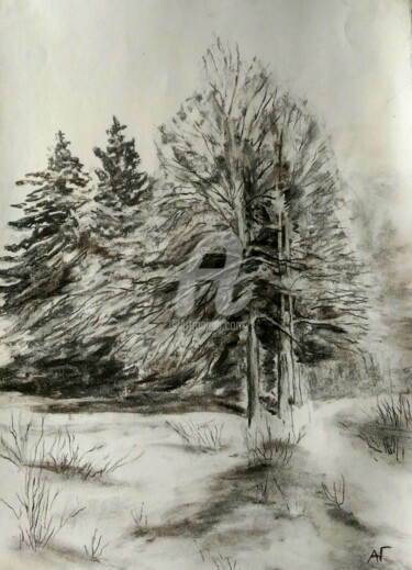 Desenho intitulada "Зимняя рапсодия." por Andrei Gudkov, Obras de arte originais, Carvão