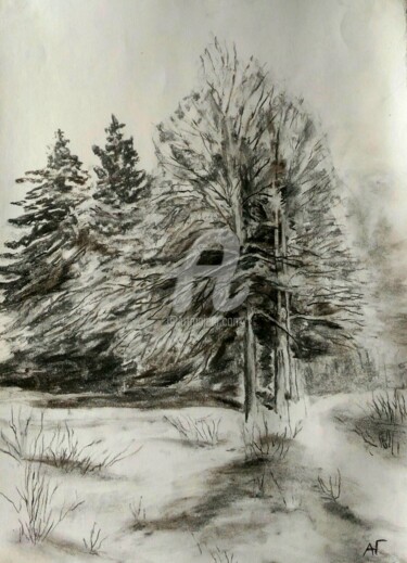 Drawing titled "Зимняя рапсодия." by Andrei Gudkov, Original Artwork, Charcoal