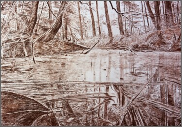 Картина под названием "Болото в лесу" - Андрей Гудков, Подлинное произведение искусства, Другой