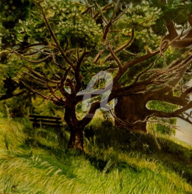 Ζωγραφική με τίτλο "Скамейка в тени дуб…" από Андрей Гудков, Αυθεντικά έργα τέχνης, Ακουαρέλα