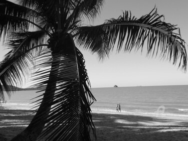 Photographie intitulée "Palmier sur plage d…" par A Guerard, Œuvre d'art originale