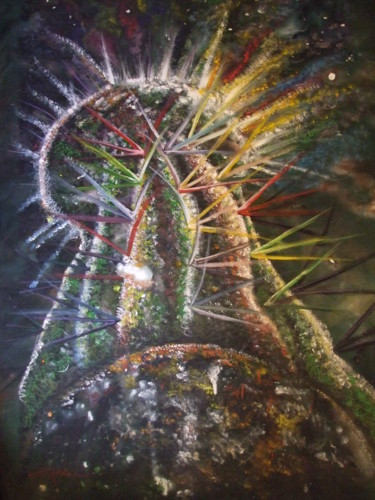Pintura titulada "cactus lunar" por Emir Aguilar, Obra de arte original, Acrílico