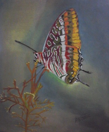 Pintura titulada "serie-mariposa-a5.j…" por Agustin, Obra de arte original, Oleo