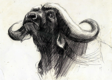 Dessin intitulée "Buffalo" par Agathe Deval, Œuvre d'art originale, Crayon
