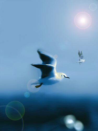 Photography titled "fly towards the goal" by Ahmet Reha Demir, Original Artwork, Manipulated Photography