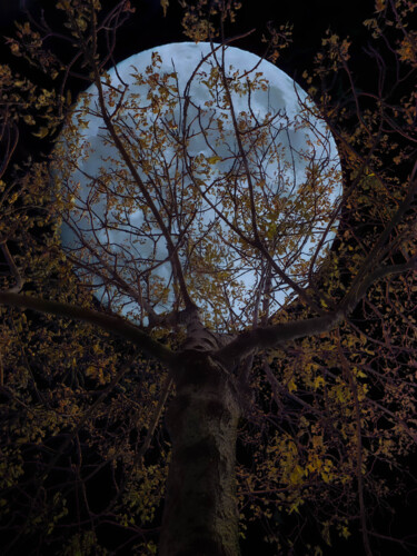 Фотография под названием "Moonspell" - Ahmet Reha Demir, Подлинное произведение искусства, Манипулированная фотография