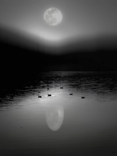Fotografia intitulada "Moonlight shadow" por Ahmet Reha Demir, Obras de arte originais, Fotografia Manipulada