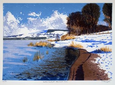 Winter Sunlight, Blessington Lake Printmaking titled "Winter Sunlight, Bl…" by Aidan Flanagan, Original Art, Screenprinting