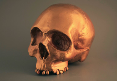 Sculpture titled "Bronze skull" by Ksenia Makeeva, Original Artwork, Clay