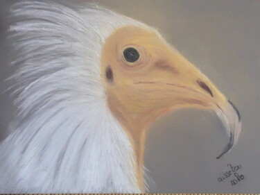 Dessin intitulée "Portrait d'un vauto…" par Aïssétou Sako, Œuvre d'art originale, Pastel