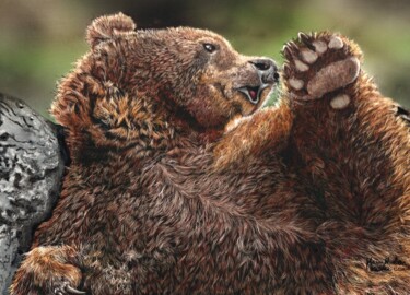 Painting titled "Bear Pause" by Karen Nealon, Original Artwork, Scratchboard Mounted on Other rigid panel