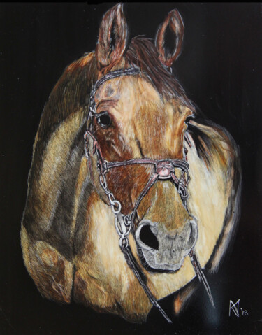 Schilderij getiteld "Horse of Course" door Karen Nealon, Origineel Kunstwerk, Scratchboard
