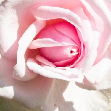 Фотография под названием "Cœur de rose, rose…" - Michel Akli, Подлинное произведение искусства, Цифровая фотография
